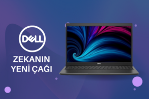 dell-kategori